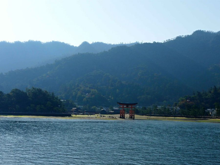 295-Miyadžima
